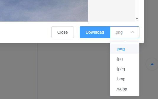 Select output file type screen shotcut